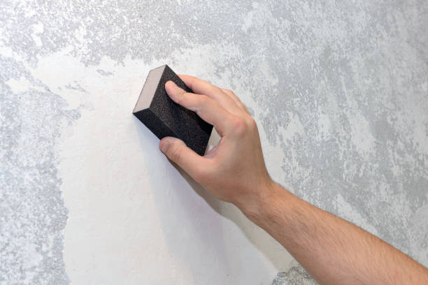 Best HVAC Mold Inspection and Cleaning  in Heyworth, IL
