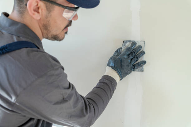 Best Forensic Mold Investigation  in Heyworth, IL