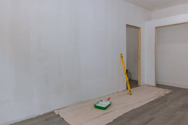 Best Mold Removal for HVAC Installations  in Heyworth, IL