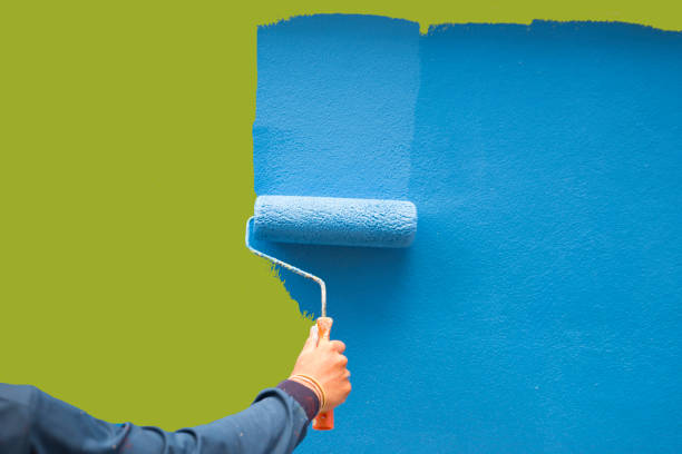 Best Mold Remediation for Healthcare Facilities  in Heyworth, IL
