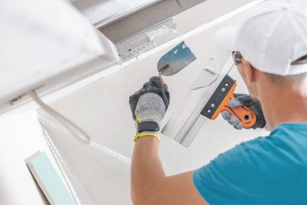 Best Industrial Mold Remediation  in Heyworth, IL